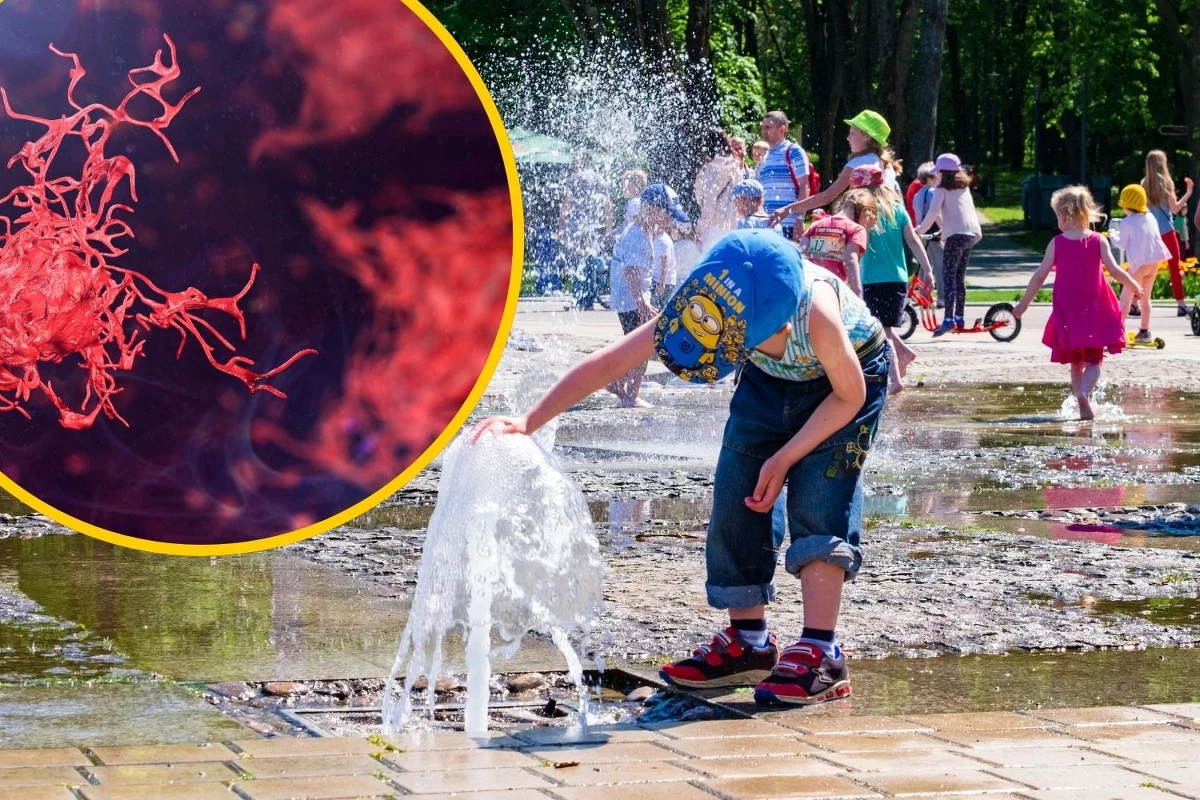 Naukowcy ostrzegają: ameby wolno żyjące mogą stanowić rosnące zagrożenie dla zdrowia publicznego na całym świecie. Te mikroskopijne organizmy potrafią przetrwać w warunkach, które zabijają większość innych patogenów.