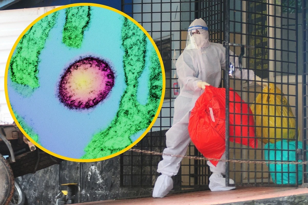 Pięć przypadków zakażenia wirusem Nipah potwierdzono w Indiach. Wśród zakażonych są członkowie personelu medycznego. Prawie sto osób objęto kwarantanną. Czym jest wirus Nipah, dlaczego budzi tak duży niepokój i jak wygląda sytuacja epidemiologiczna? 