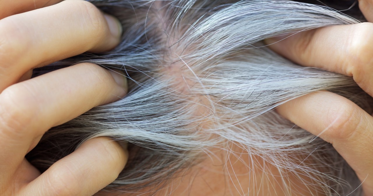 To najlepszy sposób na siwe włosy. Będziesz wyglądać na 10 lat mniej