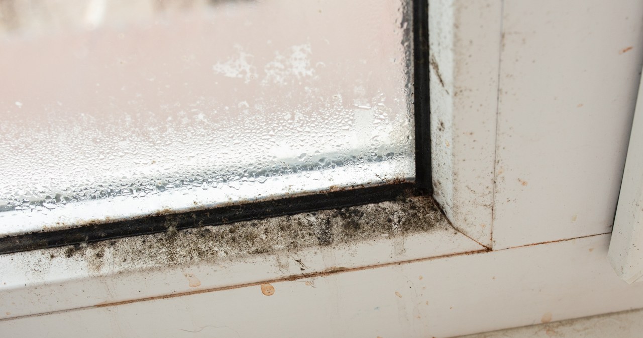 Wilgoć zbiera się na oknach? Sprytny woreczek rozwiąże sprawę