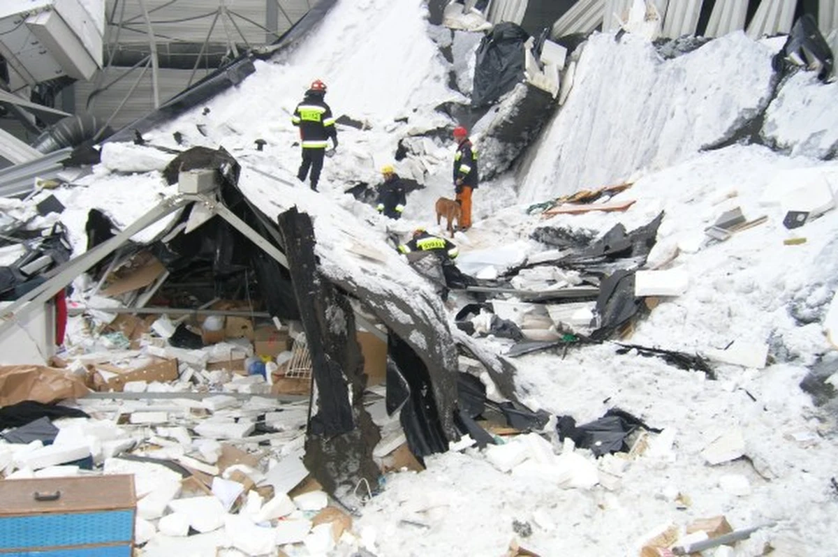 28 stycznia 2006 roku zapisał się w historii jako dzień, w którym doszło do największej katastrofy budowlanej współczesnej Polski. Przy ulicy Bytkowskiej 1b w Chorzowie zawaliła się hala Międzynarodowych Targów Katowickich. Zginęło 65 osób, a około 170 zostało rannych. Akcja służb na miejscu tragedii trwała 551 godzin, a walka ocalałych i rodzin ofiar o sprawiedliwość - całe lata.