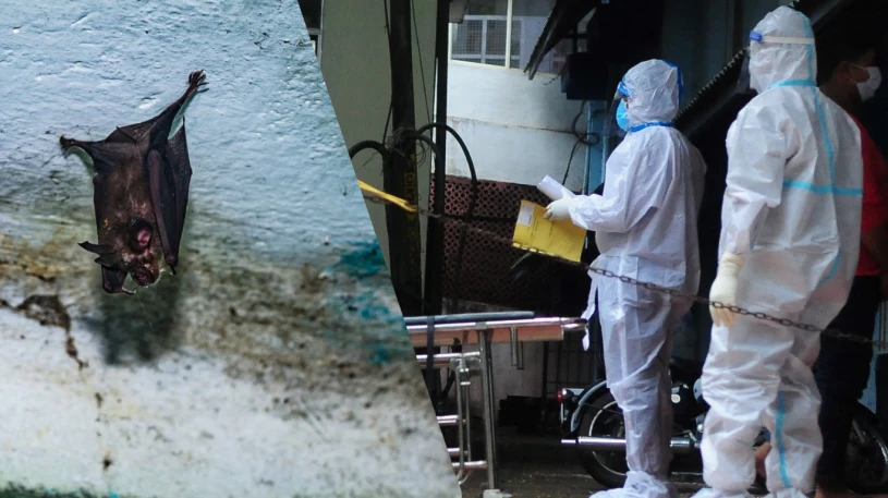 Śmiertelny wirus szaleje w Azji, naukowcy pełni obaw. "Ogromne zagrożenie"
