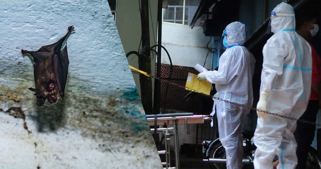 Śmiertelny wirus szaleje w Azji, naukowcy pełni obaw. "Ogromne zagrożenie"