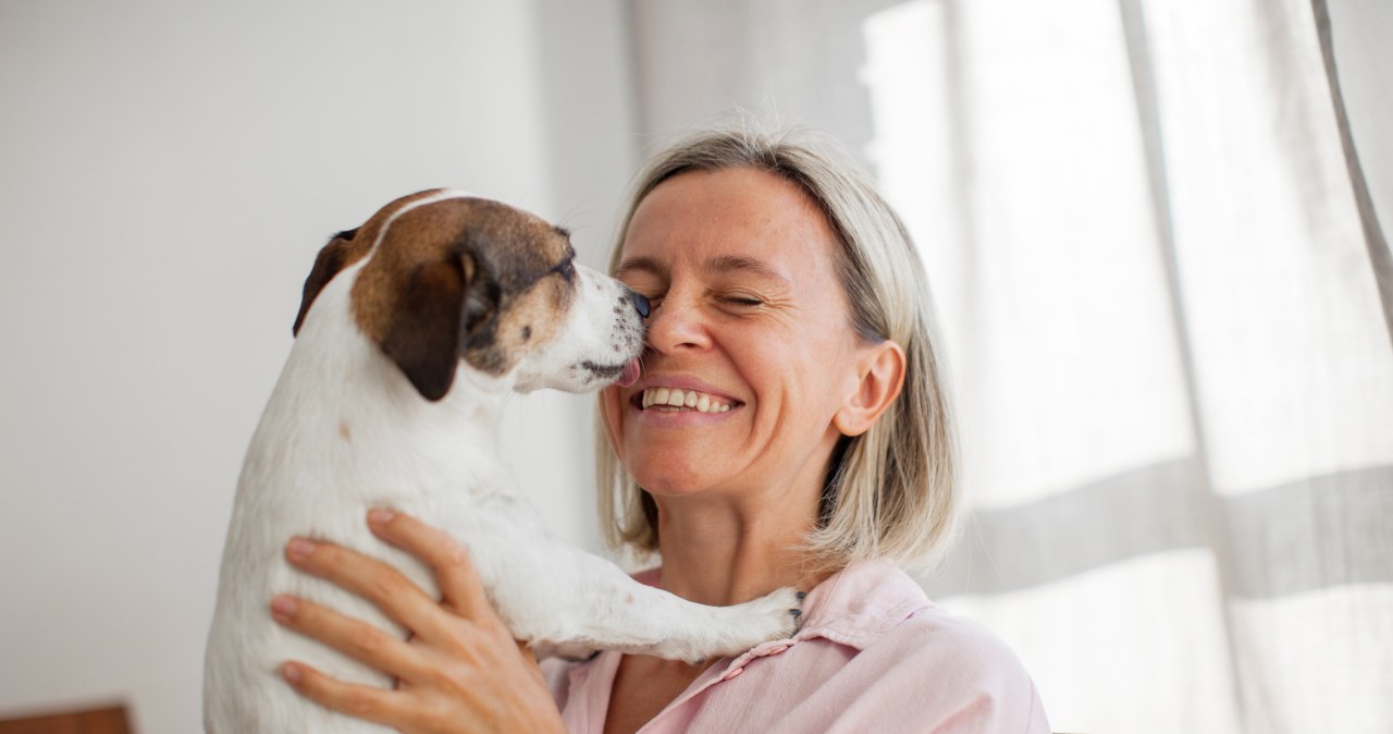 Twój pies cię liże? To nie zawsze jest oznaka miłości