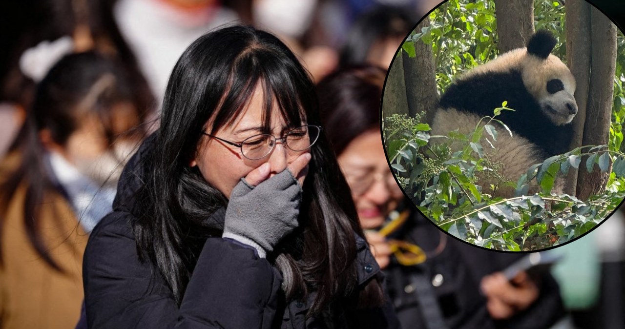 Pekin sięgnął po "dyplomację pand". Japonia nie jest pierwsza