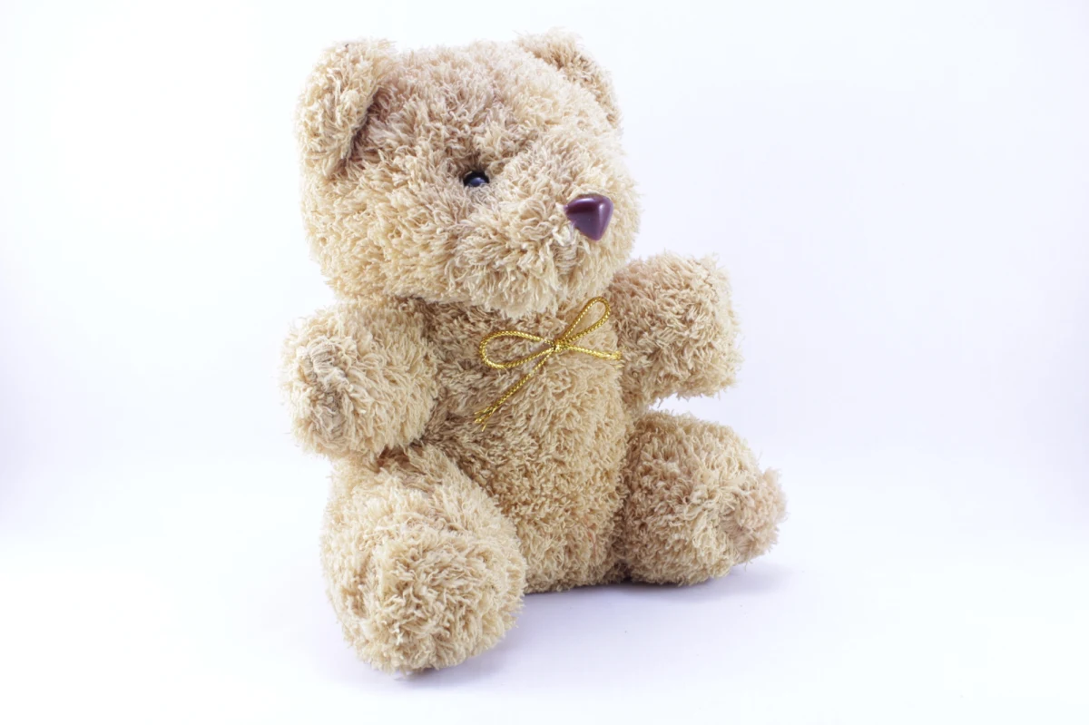 Trwa sądowa batalia o prawa autorskie do kultowej piosenki "Biały miś". Przed Sądem Okręgowym w Gdańsku rozpoczął się proces odwoławczy, który ma rozstrzygnąć, kto jest prawdziwym autorem słów i muzyki tego utworu. Spór ciągnie się już od ponad dekady.