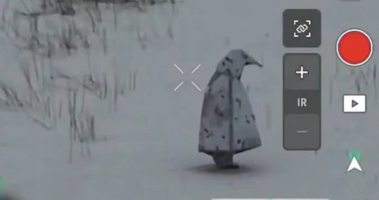 Uwaga na pingwiny! Rosjanie testują eksperymentalny kamuflaż