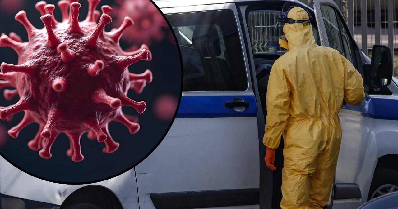 Wirus Nipah w Indiach. Kontrole sanitarne na lotniskach. WHO komentuje