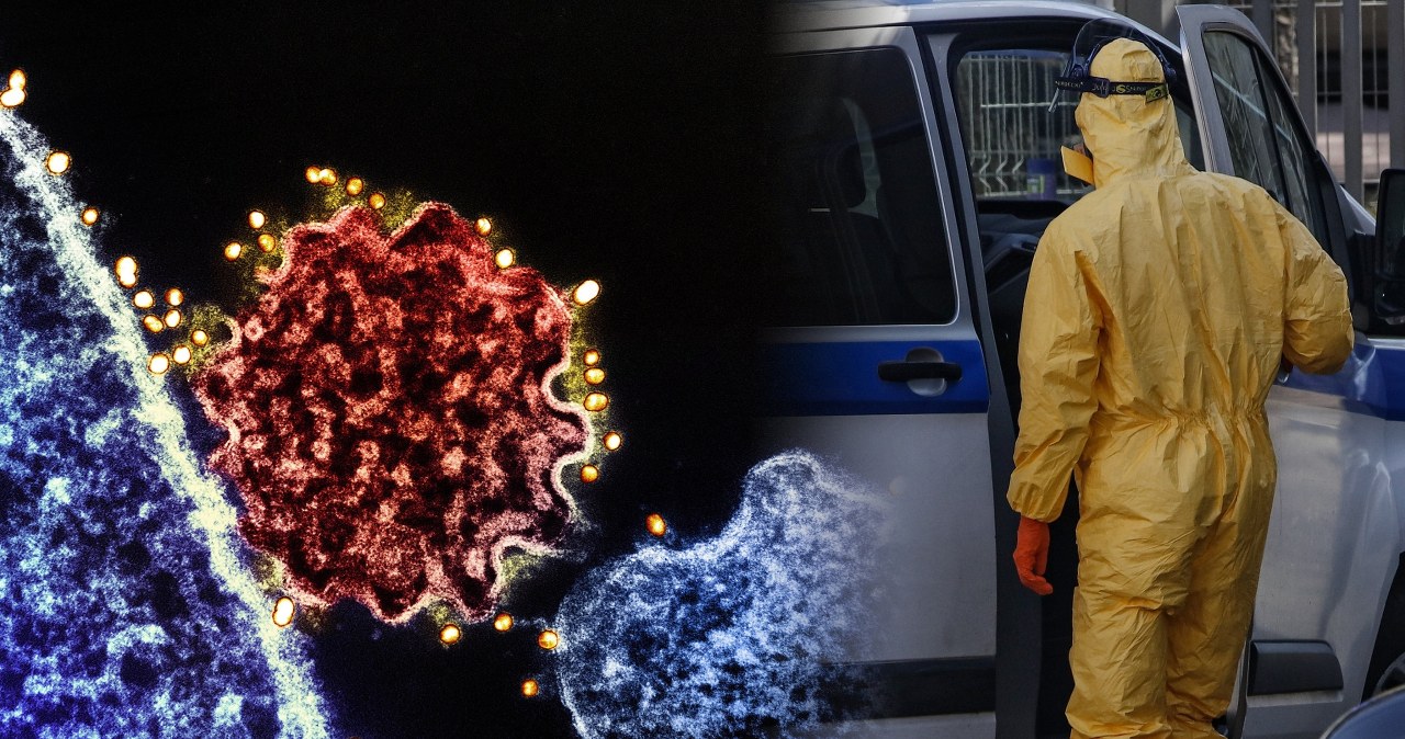 Powrót śmiertelnego wirusa Nipah. WHO wydała oświadczenie