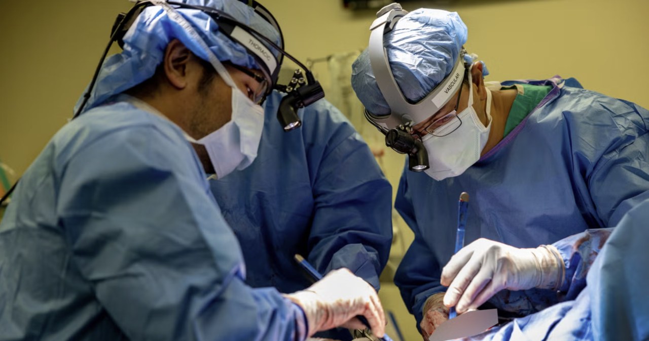 Dwa dni bez płuc. Amerykańscy chirurdzy dokonali niemożliwego