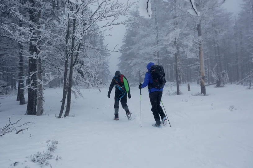 Trudne warunki w polskich górach. Zamknięto szlak, alerty przed lawinami