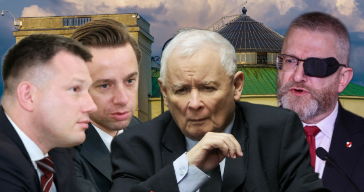 Konfederacje poważnie zagrożą partii Gargamela? Nowy sondaż