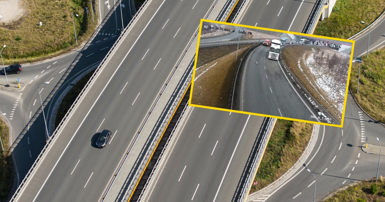Niecodzienne sceny na autostradzie. Kierowcy aż się zatrzymywali
