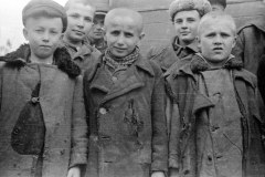 Osierocone. Dzieci i wojna