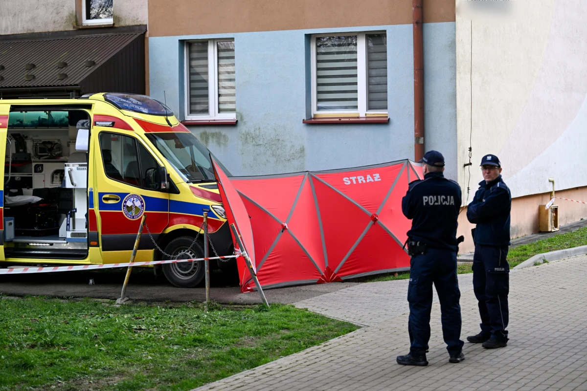 Prokuratura umorzyła śledztwo dotyczące tragicznych wydarzeń z listopada ubiegłego roku w Sanoku. W jednym z mieszkań znaleziono ciało 69-letniej kobiety z ranami kłutymi. Jej 46-letni syn, uzbrojony w narzędzie przypominające maczetę lub miecz, zaatakował interweniujących policjantów i strażaka. Zmarł po postrzeleniu, mimo podjętej reanimacji.