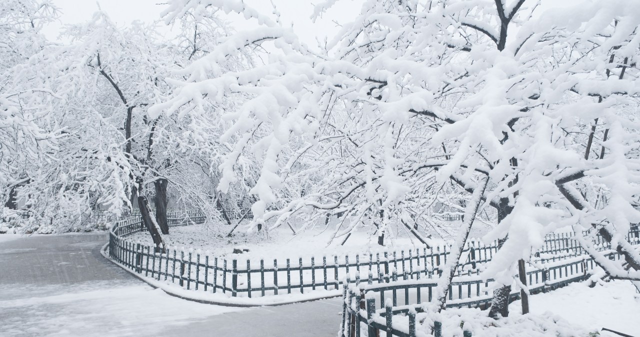 wiadomości,aktualności,Interia Mróz robi coś ważnego. Narzekamy, ale potrzeba niskich temperatur