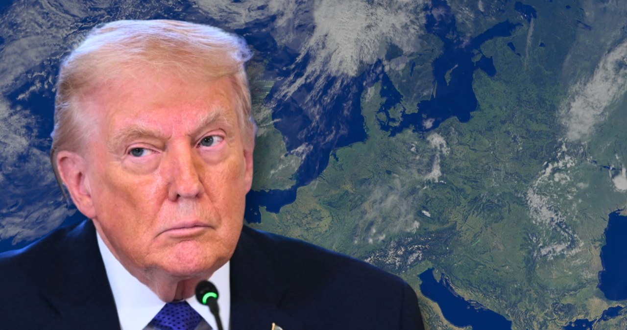 Kraj NATO ocenia relacje z USA. Uwagę zwraca niezwykle wysoki wskaźnik