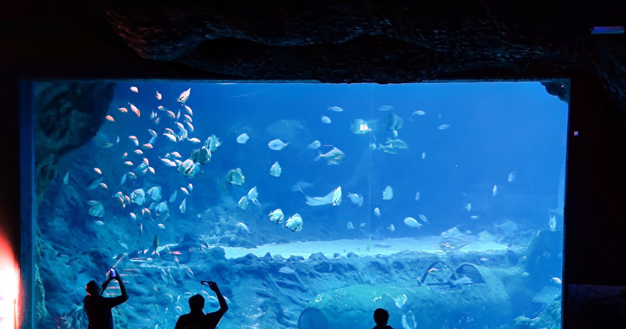 Oto ulubione miejsca Polaków na zimowy wypoczynek. Jedno miasto triumfuje