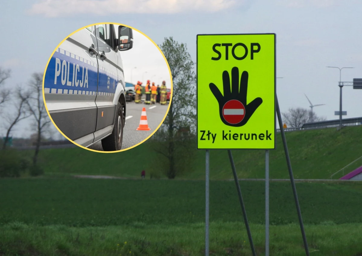 Starszy mężczyzna wjechał pod prąd na autostradę A4, doprowadzając do czołowego zderzenia. "Sprawca to 87-letni mieszkaniec Świdnicy" - przekazała RMF24 Anna Tersa, rzeczniczka legnickiej policji. Jakie poniesie konsekwencje?
