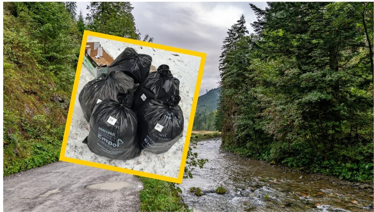 Nieodpowiedzialne zachowanie na terenie gminy Kościelisko - w tamtejszych lasach i na terenach zielonych coraz częściej można znaleźć śmieci pochodzące z działalności gastronomicznej. Lokalne służby zaapelowały w tej sprawie do przedsiębiorców.