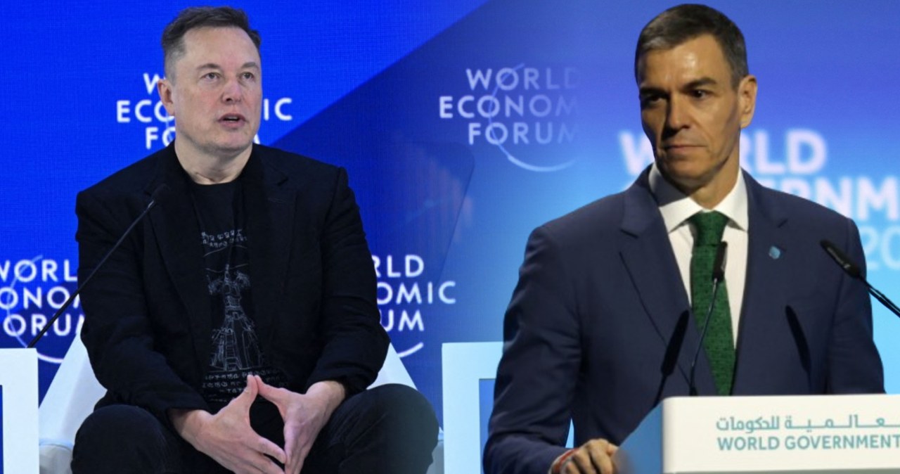 Musk o europejskim premierze. "Tyran, zdrajca narodu"