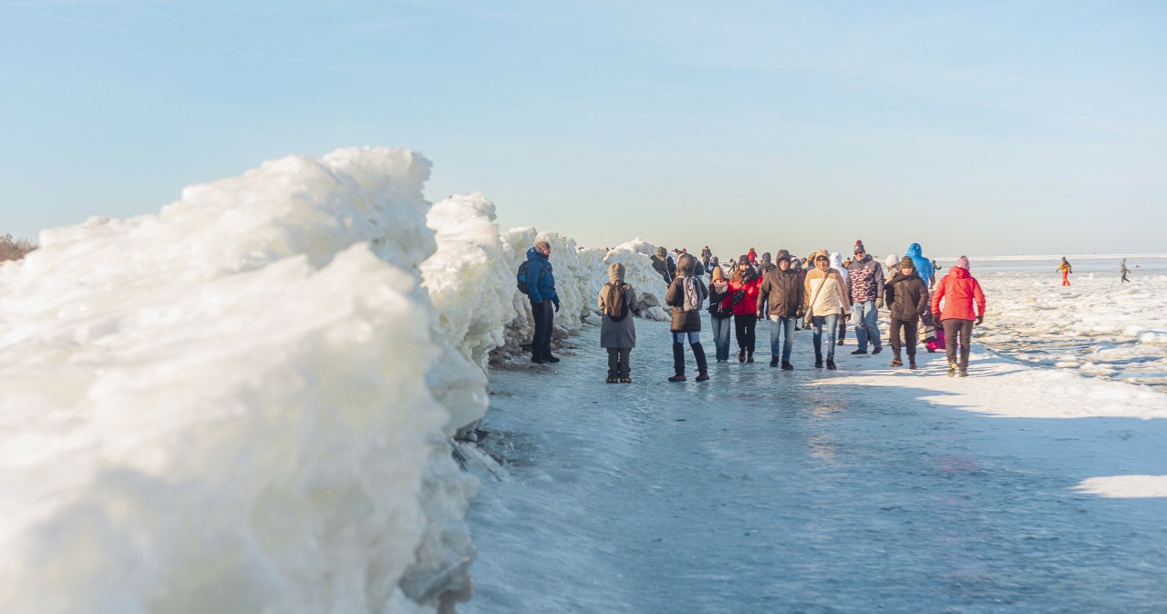 wiadomości,aktualności,Interia To może być pierwszy taki rok w Polsce od dawna. Wszystko dzięki mrozom