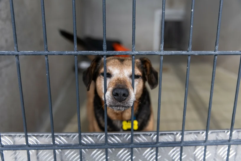 "To naprawdę haniebne". Biją na alarm, zmiany potrzebne od zaraz