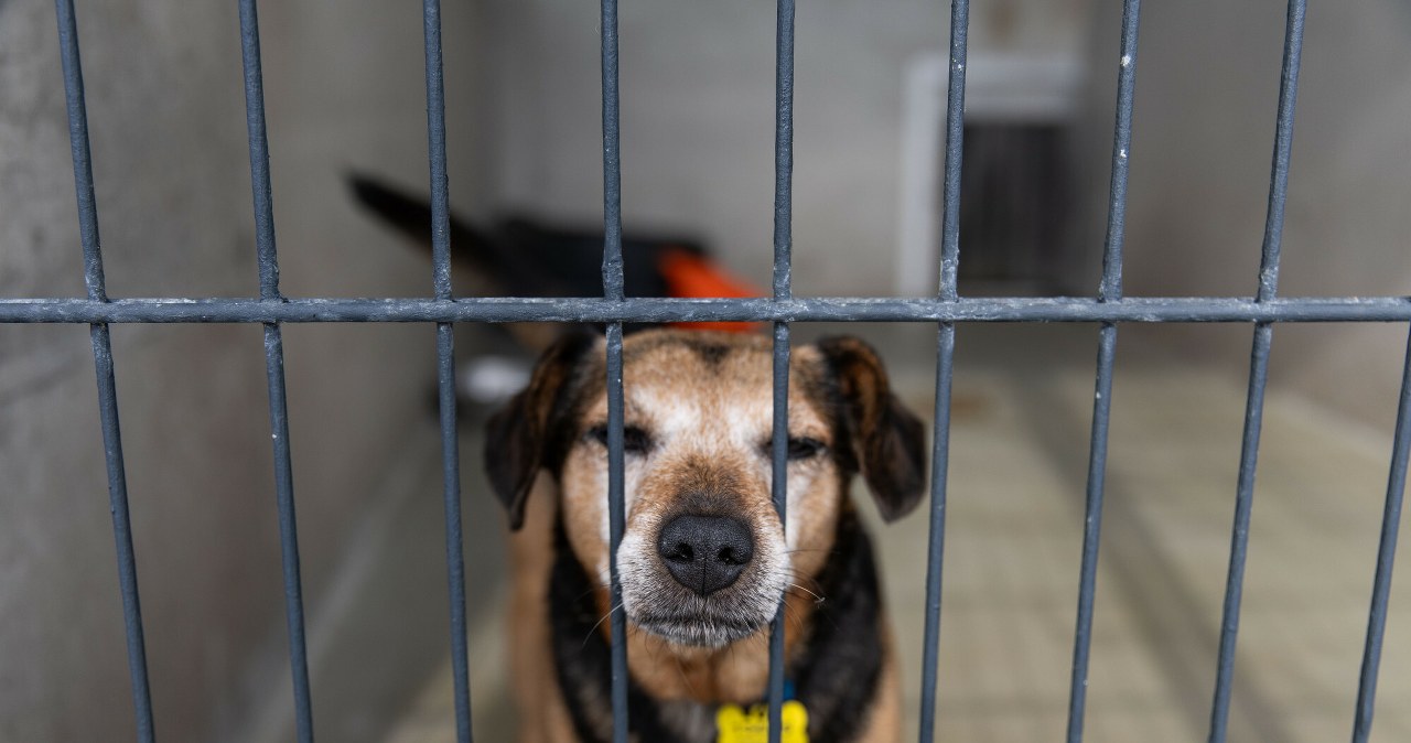 "To naprawdę haniebne". Biją na alarm, zmiany potrzebne od zaraz