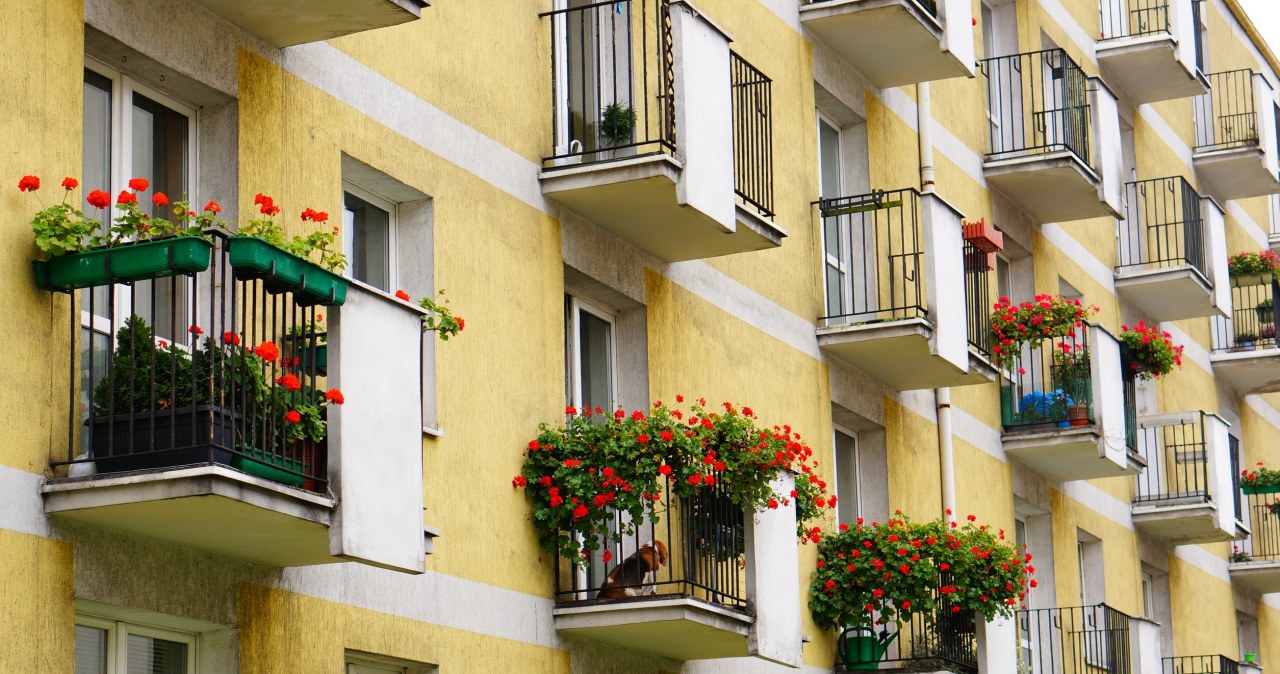 Moda zero waste w ogrodnictwie. Czy Polacy porzucą doniczki na rzecz durszlaków?