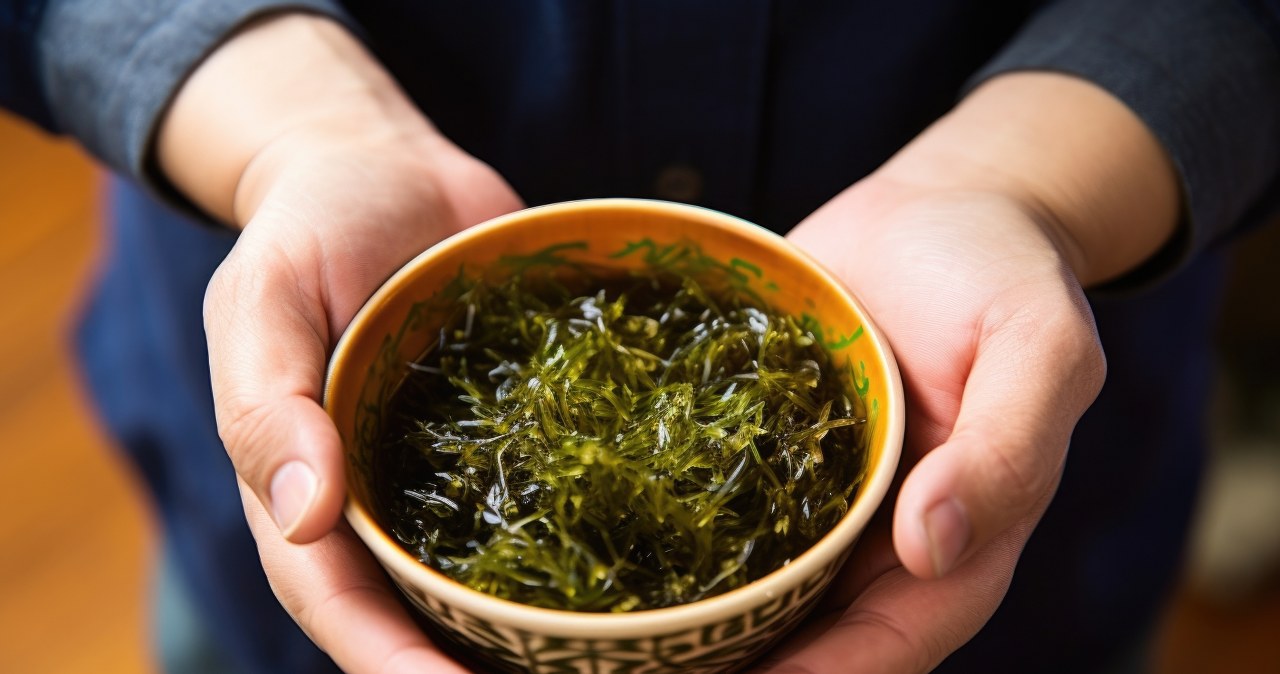 Nowy hit z morza czy dietetyczna ściema? Mech morski pod lupą