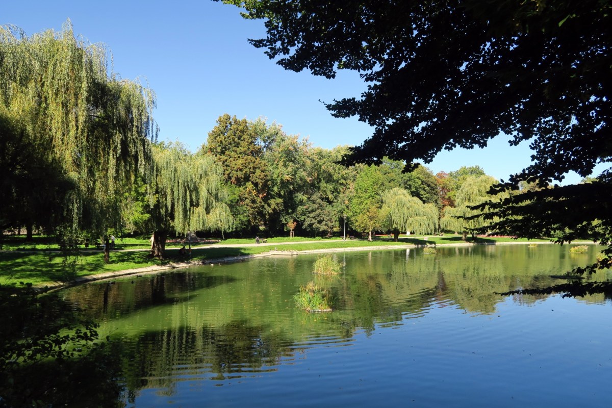 Staw w centrum miasta czeka remont. Co zyska kielecka atrakcja?