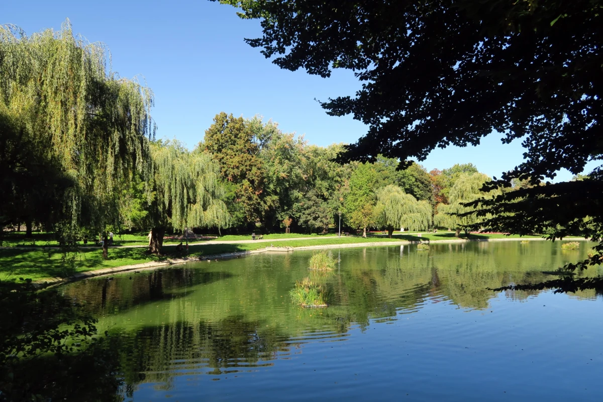 Miasto Kielce podpisało umowę, w ramach której otrzyma ponad 11 mln zł dofinansowania na rewitalizację stawu w zabytkowym Parku Miejskim im. Stanisława Staszica. Plan prac jest kompleksowy i dotyczy nie tylko samego zbiornika, ale także jego otoczenia.