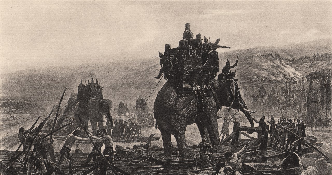 Znalezisko w Kordobie potwierdza obecność słoni w armii Hannibala