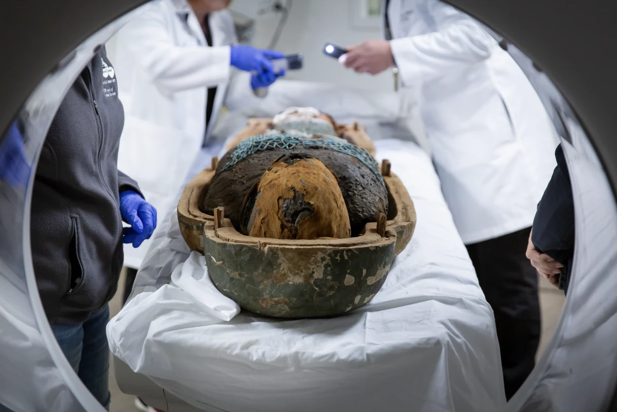 Nowoczesna technologia medyczna odsłania tajemnice starożytnych egipskich mumii. Naukowcy z Keck Medicine przy Uniwersytecie Kalifornijskim w Los Angeles wykorzystali zaawansowane skanery tomografii komputerowej (CT) do zbadania dwóch starożytnych egipskich mumii. Dzięki metodzie, która na co dzień służy diagnozowaniu i leczeniu współczesnych pacjentów, naukowcy mogli zajrzeć pod powierzchnię owiniętych w lniane bandaże ciał sprzed ponad 2200 lat i odkryć nieznane dotąd szczegóły z ich życia i zdrowia.