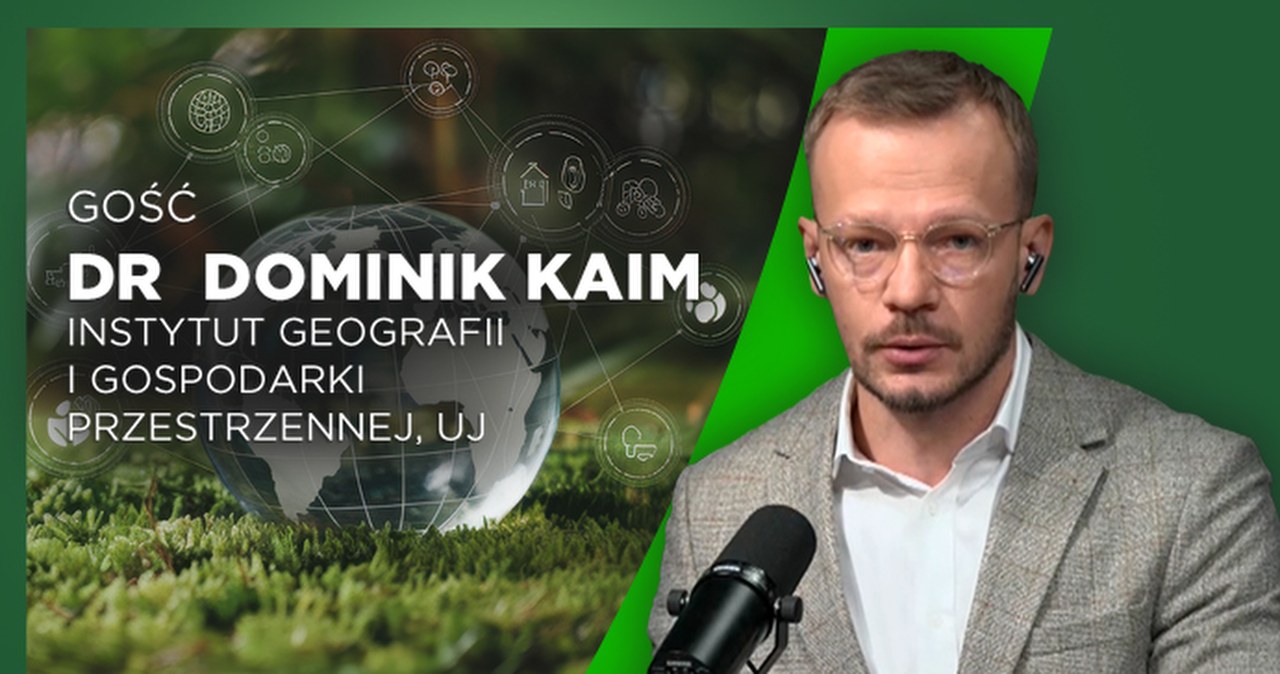 Pasterstwo coraz mniej popularne. A efektywność owiec niedoceniona