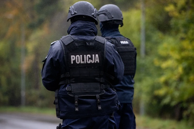 Makabryczne odkrycie w śmietniku. Prokuratura ujawnia, są wyniki badań DNA