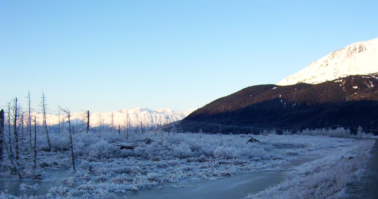 Najgorsze trzęsienie ziemi w historii USA. Tak powstały lasy widmo