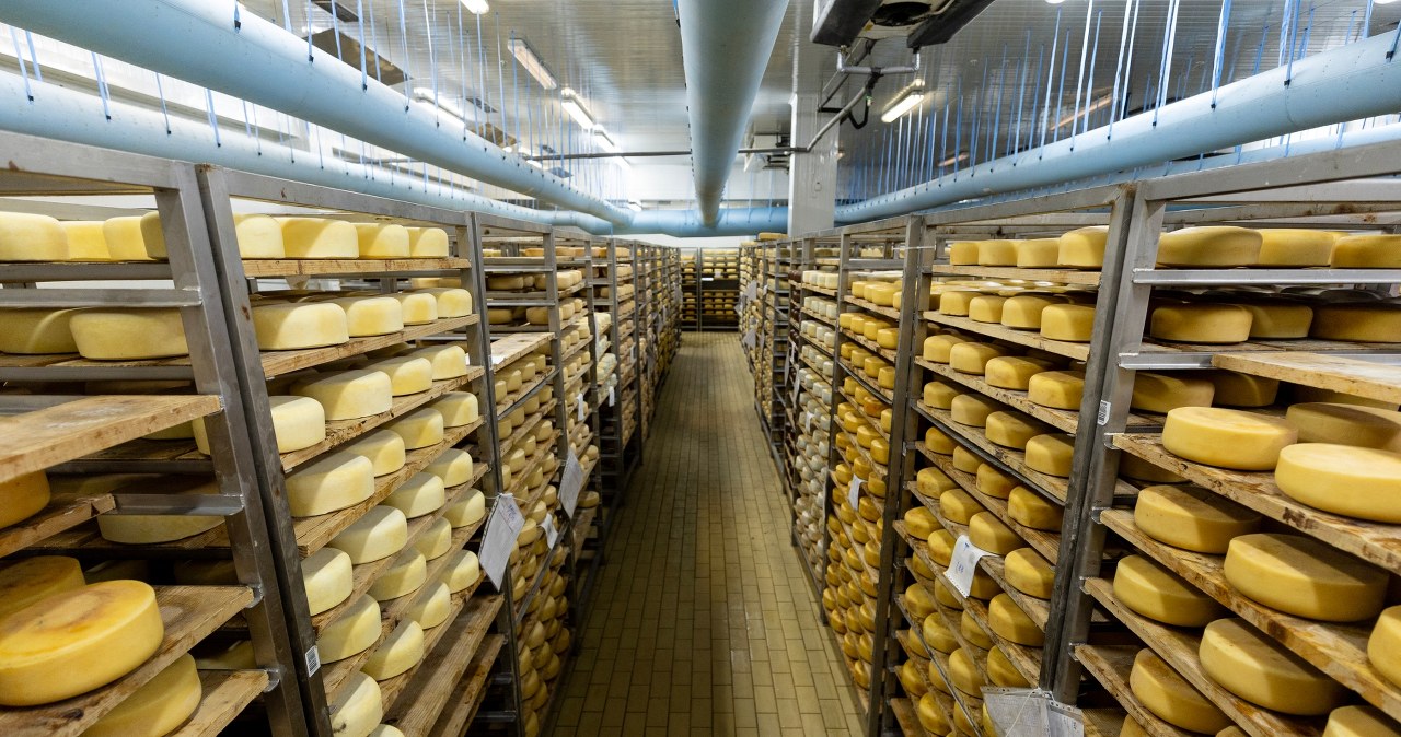 Ukrainę zalewają sery z Polski. Domagają się interwencji rządu