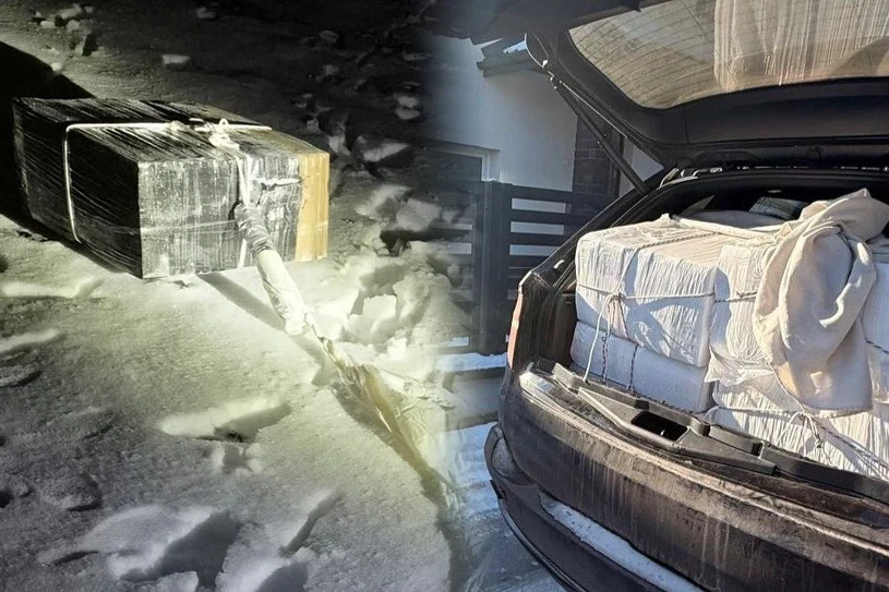 Straż Graniczna rozbiła grupę przestępczą. Sąd podjął pierwszą decyzję