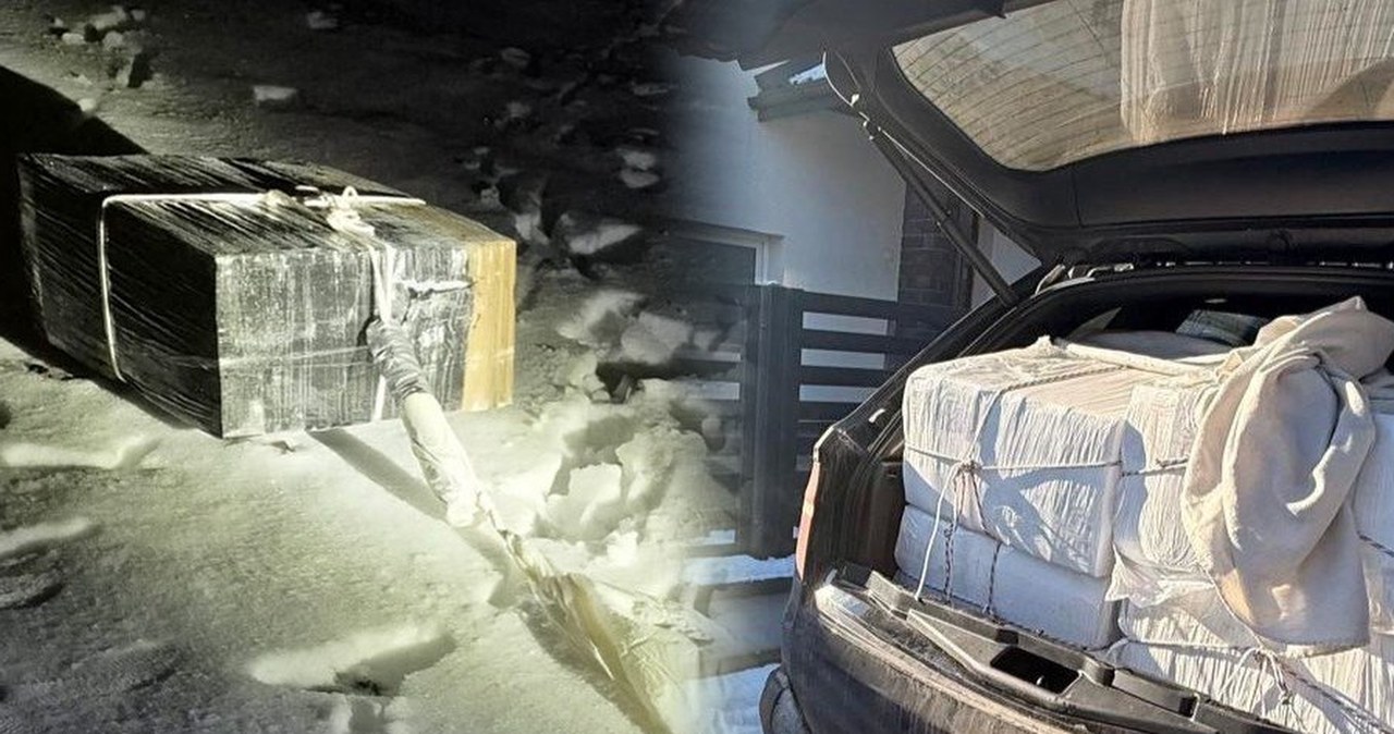 Straż Graniczna rozbiła grupę przestępczą. Sąd podjął pierwszą decyzję