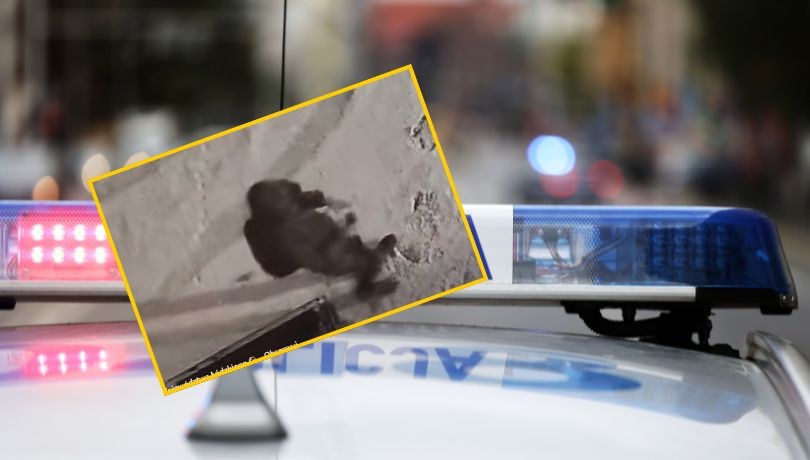 /Policja /Shutterstock