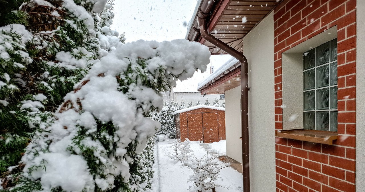 Zrób to w ogrodzie w lutym. Latem utoniesz w kwiatach i owocach