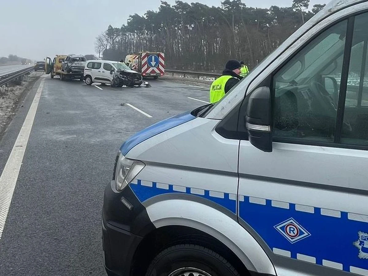Niedostosowanie prędkości do warunków na drodze było najprawdopodobniej przyczyną wypadku, do jakiego doszło w czwartek przed południem na autostradzie A2 pod Poznaniem. Jedna osoba została ranna.