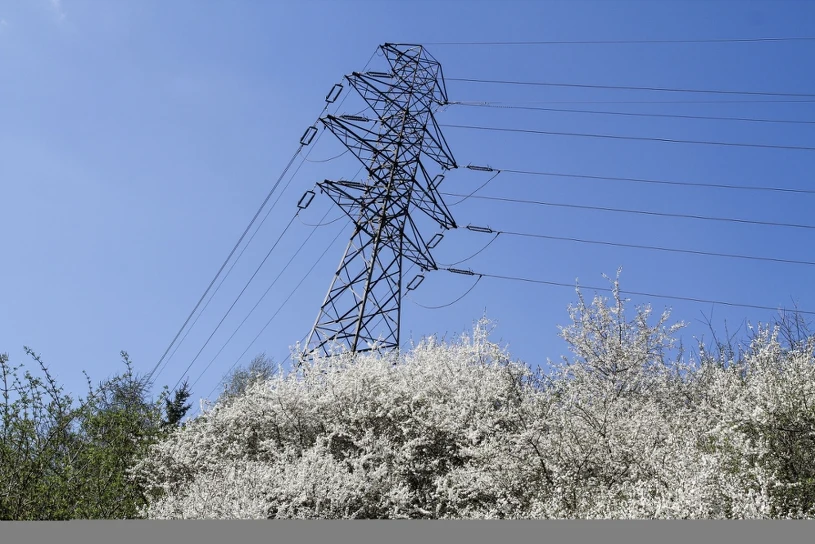 RPO pisze do ministra. Chodzi o słupy energetyczne na prywatnych działkach