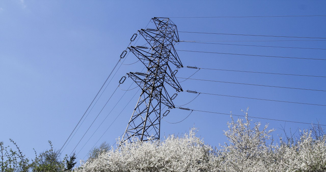 RPO pisze do ministra. Chodzi o słupy energetyczne na prywatnych działkach