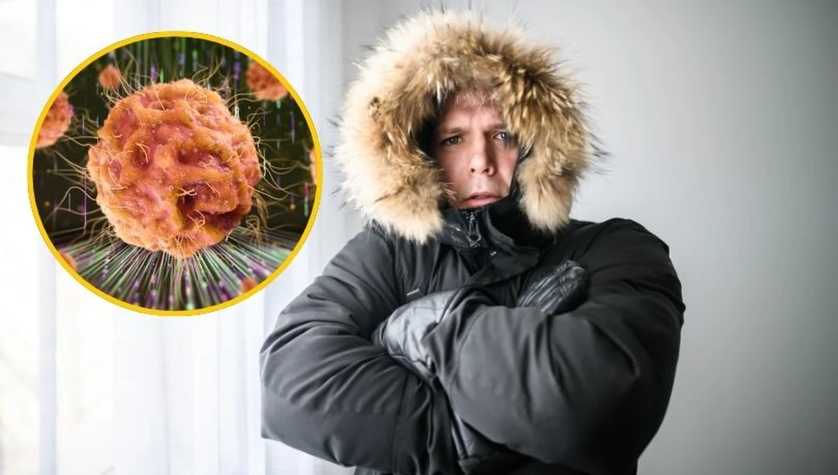 W Polsce gwałtownie rośnie liczba zachorowań na grypę – wskaźnik zachorowalności przekroczył już najwyższy poziom z ubiegłego sezonu. Lekarze i sanepid alarmują: to szczyt okresu epidemicznego. I obalają mit: mrozy nie zabijają wirusów.