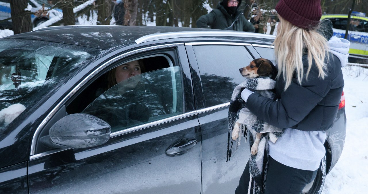Zabrali psy z Sobolewa. Weterynarz uznał ich ośrodek za nielegalny