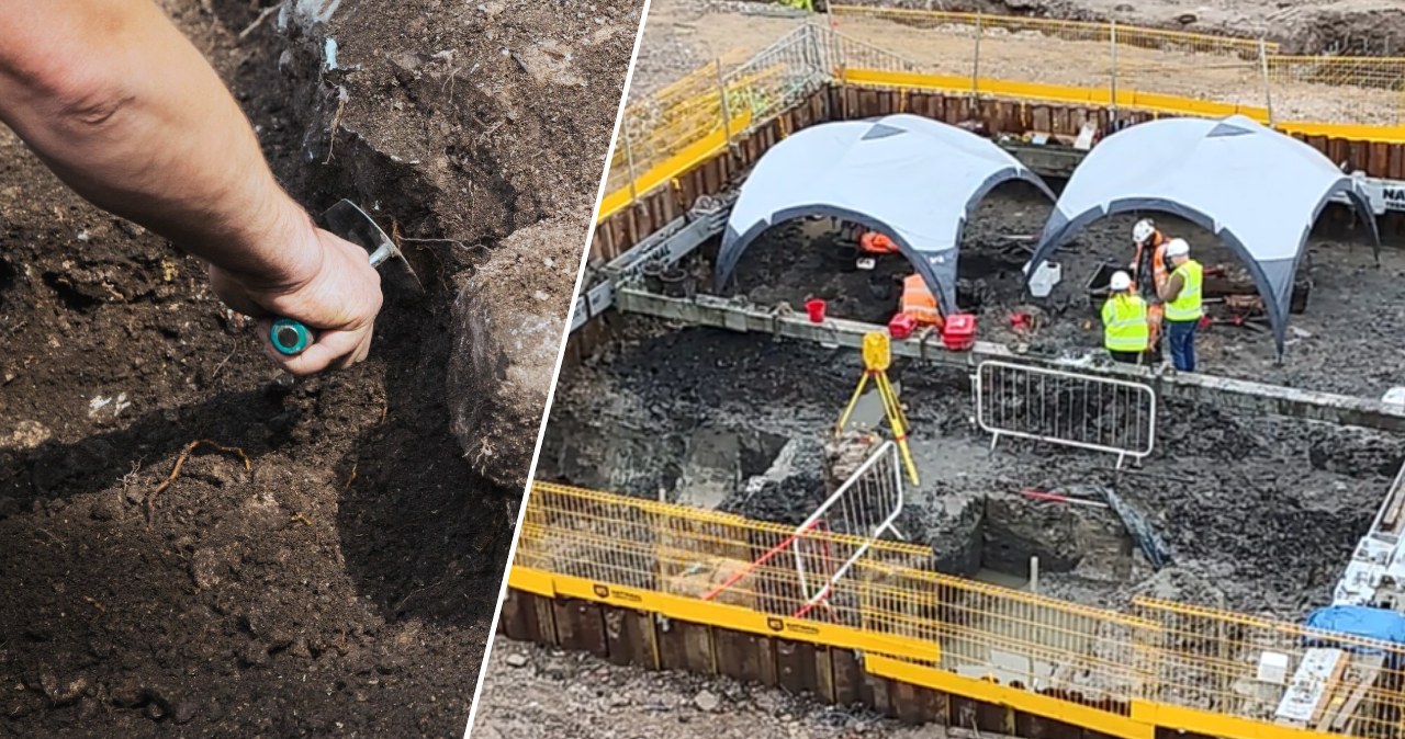 Badali miejsce pod inwestycję. Odkryli zapomniany świat