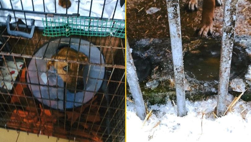 /Ministerstwo Rolnictwa i Rozwoju Wsi /Facebook