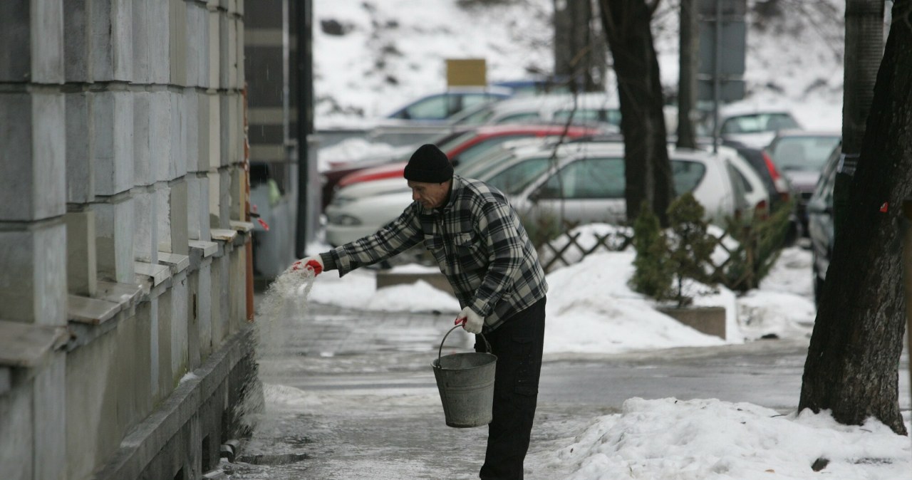 Łatwy, ale groźny sposób na lód. Dla zwierząt i roślin oznacza śmierć